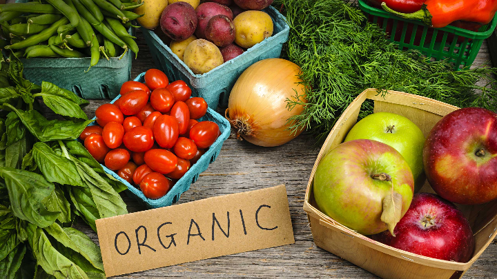 Organik Sebze Meyve Satışı 